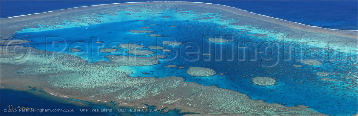 Peter Bellingham Photography One Tree Island - QLD (PBH4 00 18400)